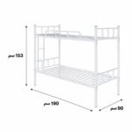 product_11100100_1.jpg
